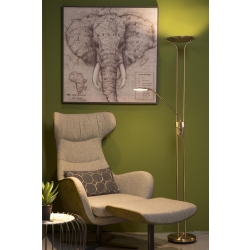 CHAMPION-LED 19792/24/03